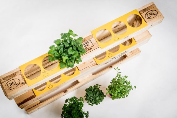 urban farming, Heilbronn