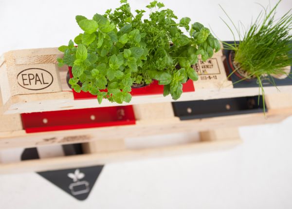 urban farming, Heilbronn